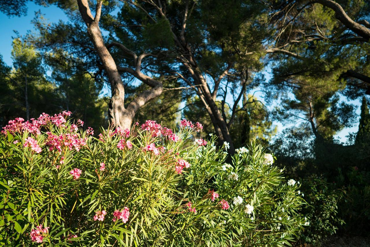 Bed and Breakfast Domaine De Saint Clair Aix-en-Provence Exterior foto