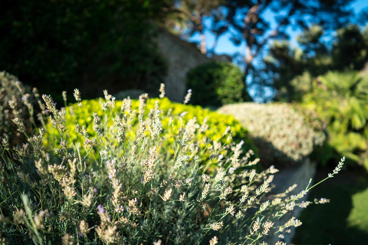 Bed and Breakfast Domaine De Saint Clair Aix-en-Provence Exterior foto
