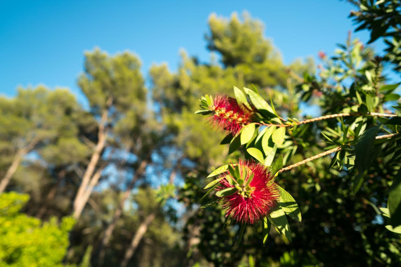 Bed and Breakfast Domaine De Saint Clair Aix-en-Provence Exterior foto