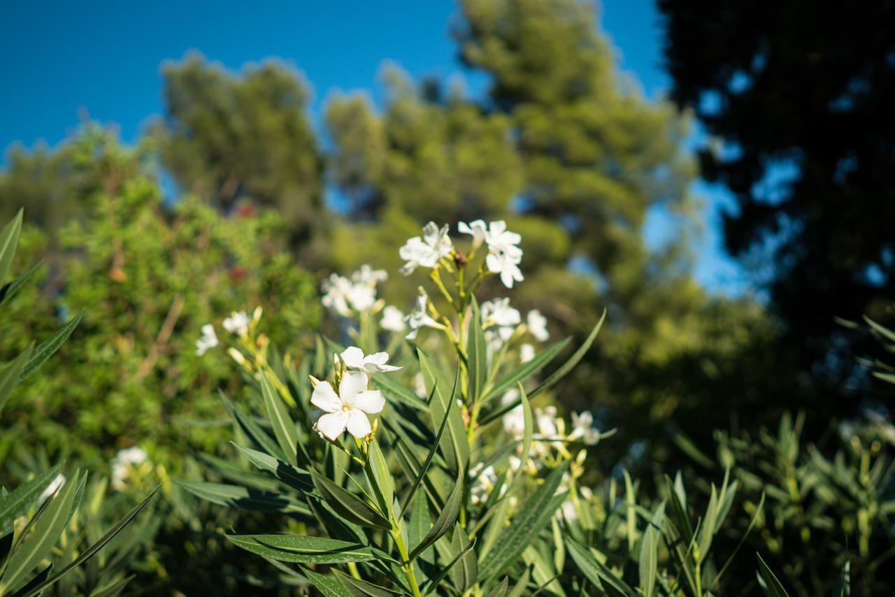 Bed and Breakfast Domaine De Saint Clair Aix-en-Provence Exterior foto