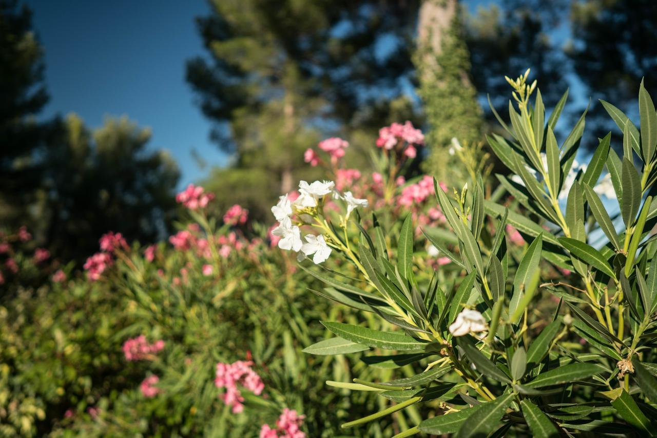 Bed and Breakfast Domaine De Saint Clair Aix-en-Provence Exterior foto